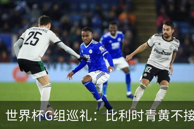 世界杯G组巡礼：比利时青黄不接 伊朗赴美参赛风波不断