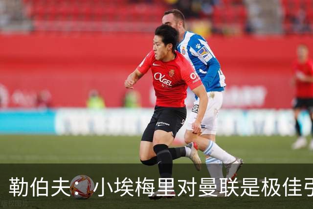 勒伯夫：小埃梅里对曼联是极佳引援，卡里克能帮他进步