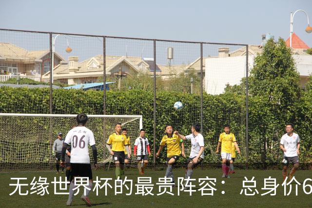 无缘世界杯的最贵阵容：总身价6.7亿 意大利5人