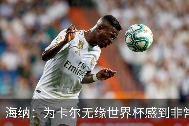 海纳：为卡尔无缘世界杯感到非常遗憾 他的未来依然无比广阔