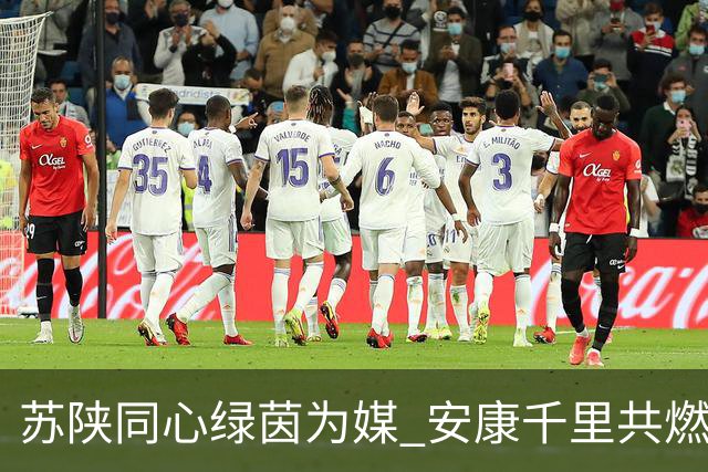 苏陕同心绿茵为媒 安康千里共燃“苏超”激情