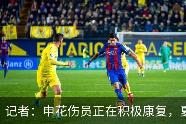 记者：申花伤员正在积极康复，夏窗人员调整工作稳步推进中