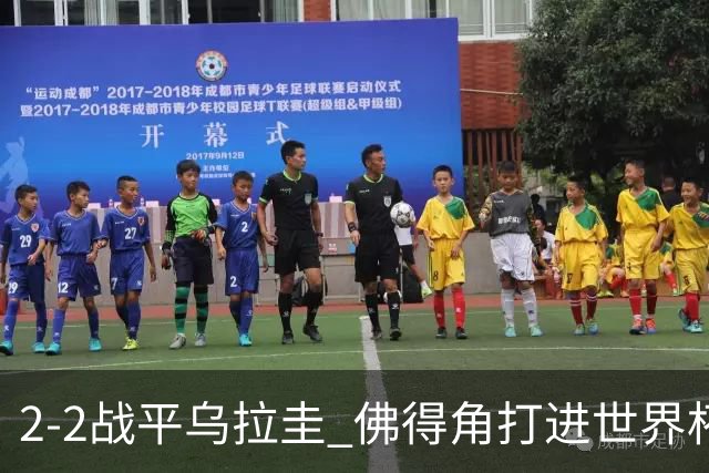 2-2战平乌拉圭 佛得角打进世界杯队史首球